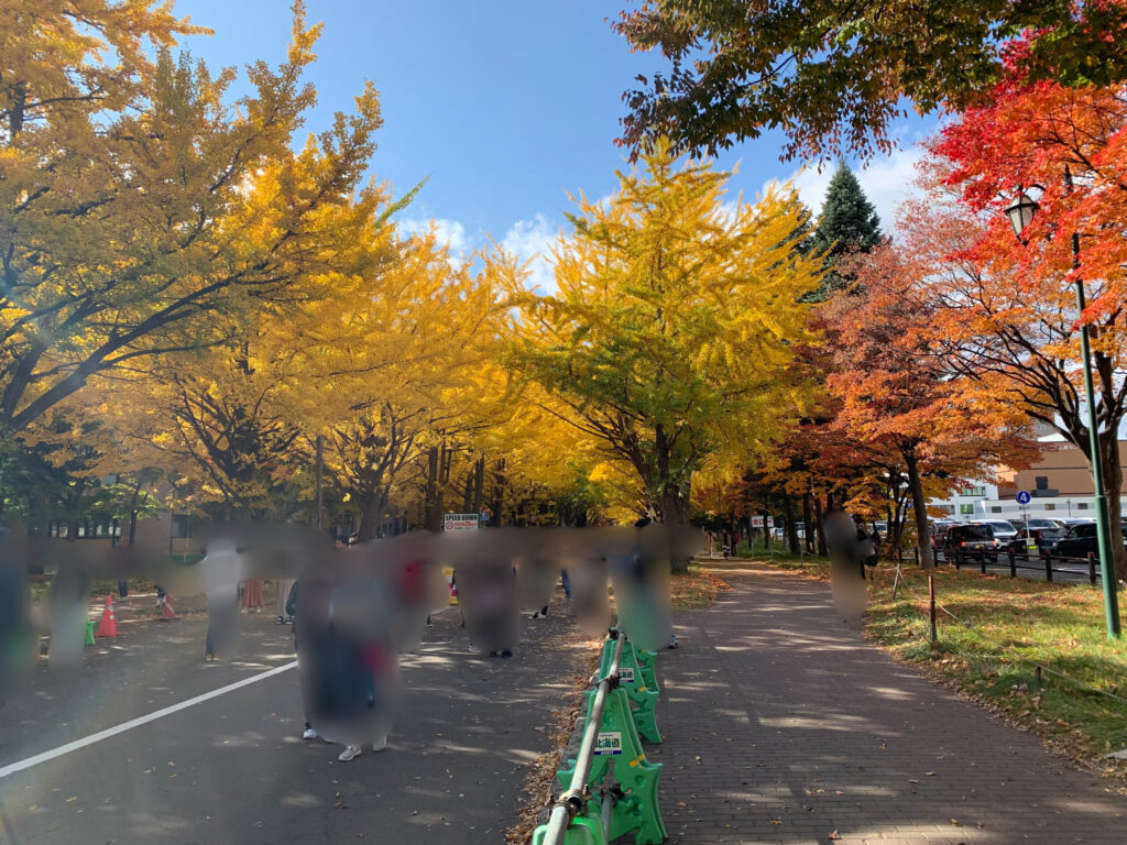 いちょう並木(2019年撮影)観光客がかなり多く訪れていました。
