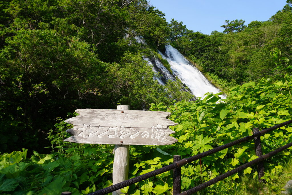 大迫力のオシンコシンの滝。