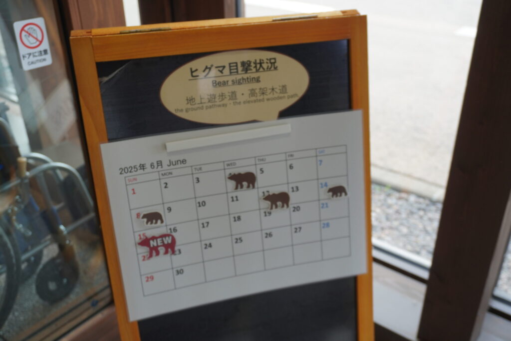 訪れた日時点での遭遇情報。知床五湖フィールドハウスを検索してネットで最新情報もチェックできます。