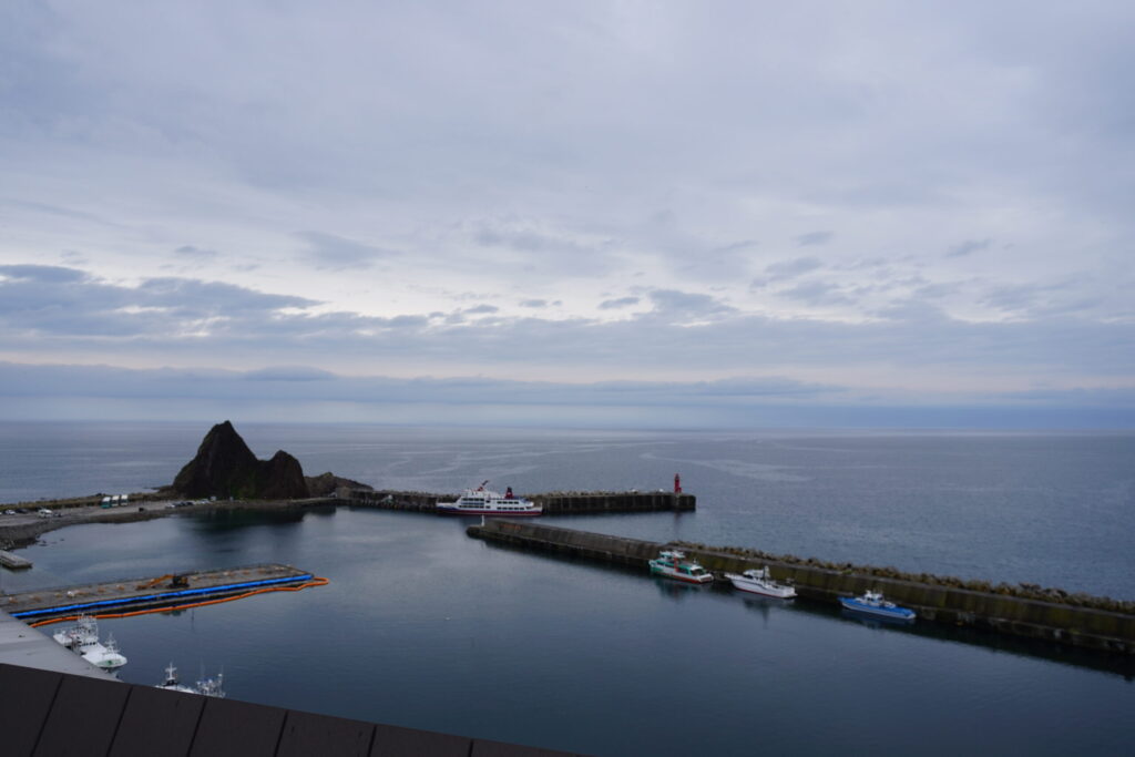 岸の大きな船が大型船。クルーズをゆっくり楽しむなら大型船がおすすめ。