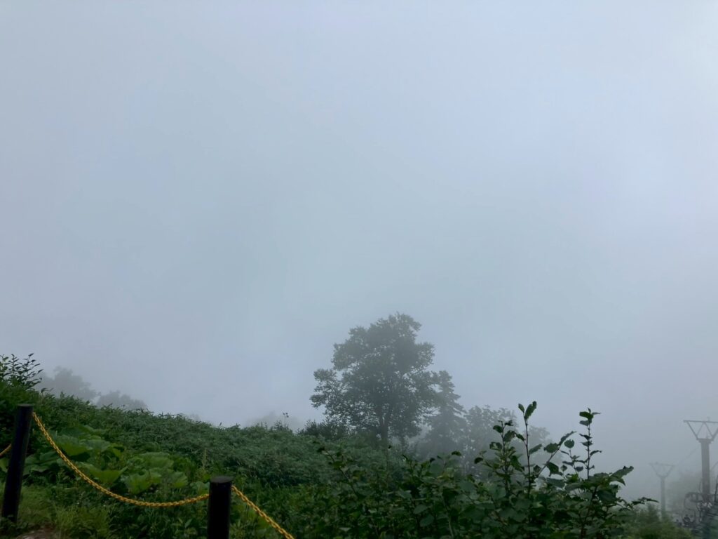 7合目展望台からの景色。霧が凄くて行きも帰りも何も見えませんでした泣