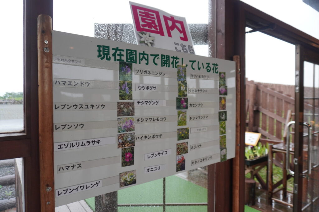 園内に咲いている花についての説明もあります。