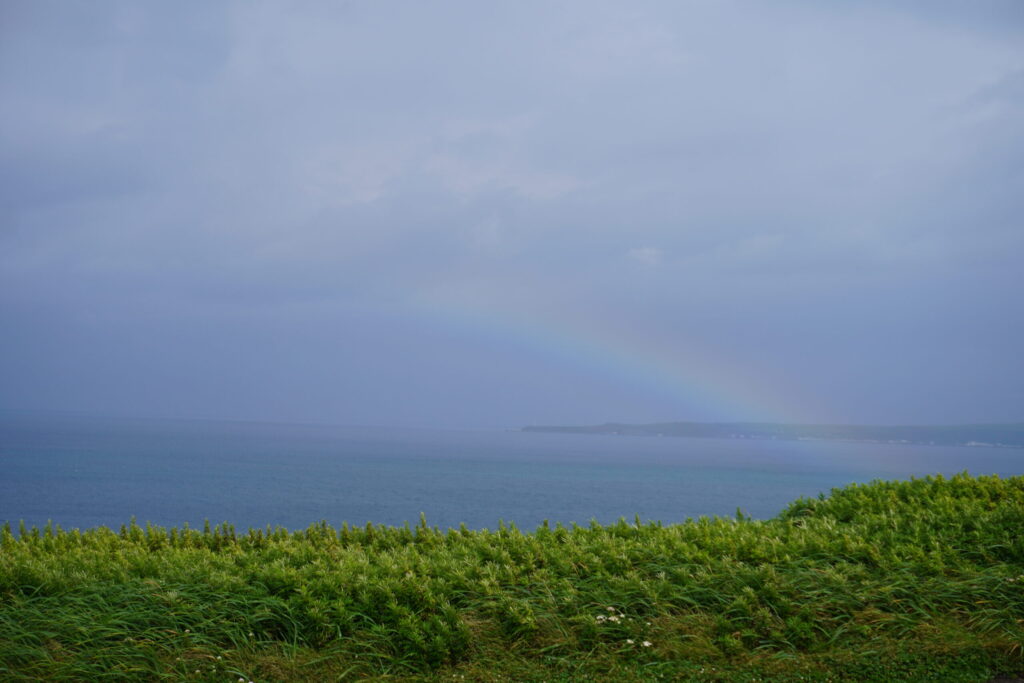 雨が上がり、虹が見えました🌈