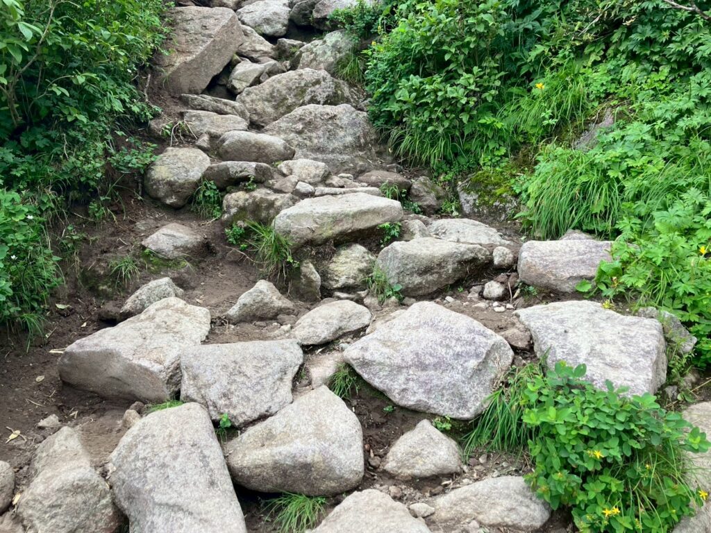 ごろごろの岩。