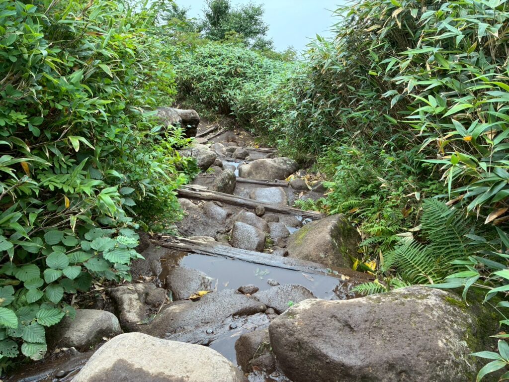 雨の影響か、前半は泥道も。