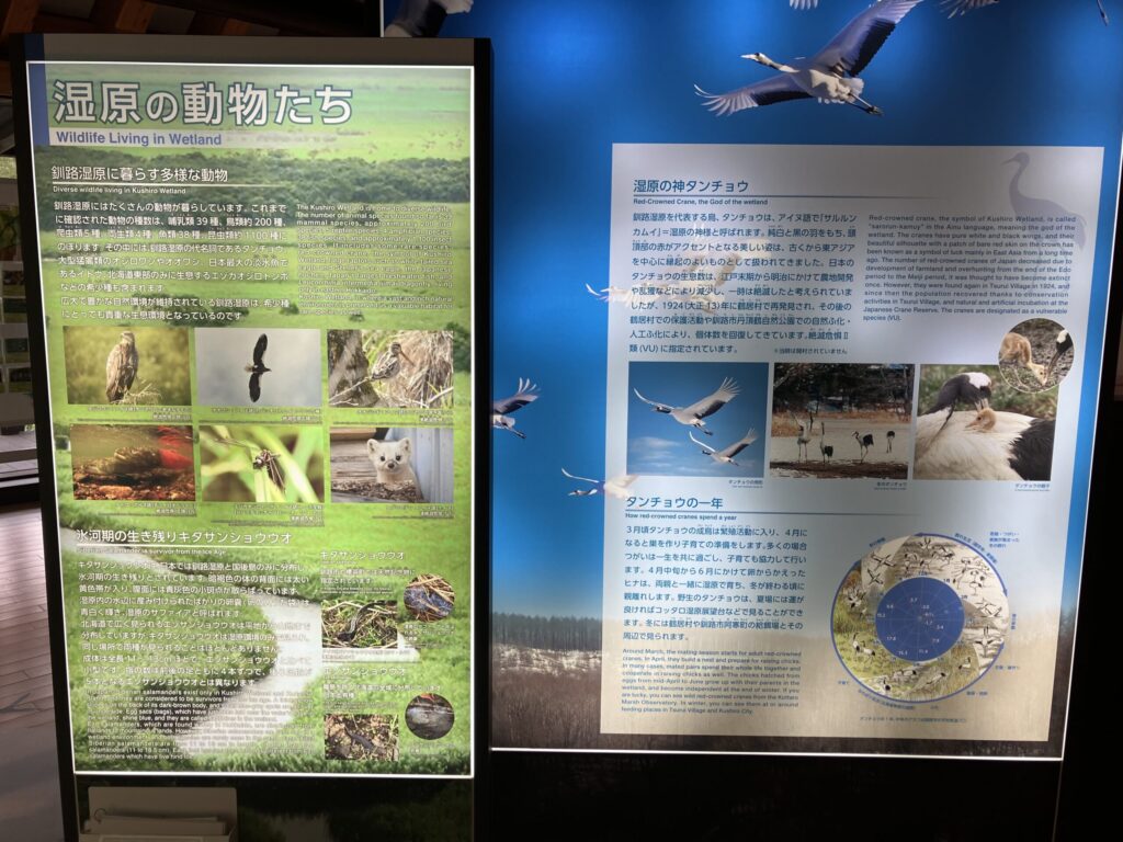 湿原の中で見ることができる生き物や植物についても学べます。