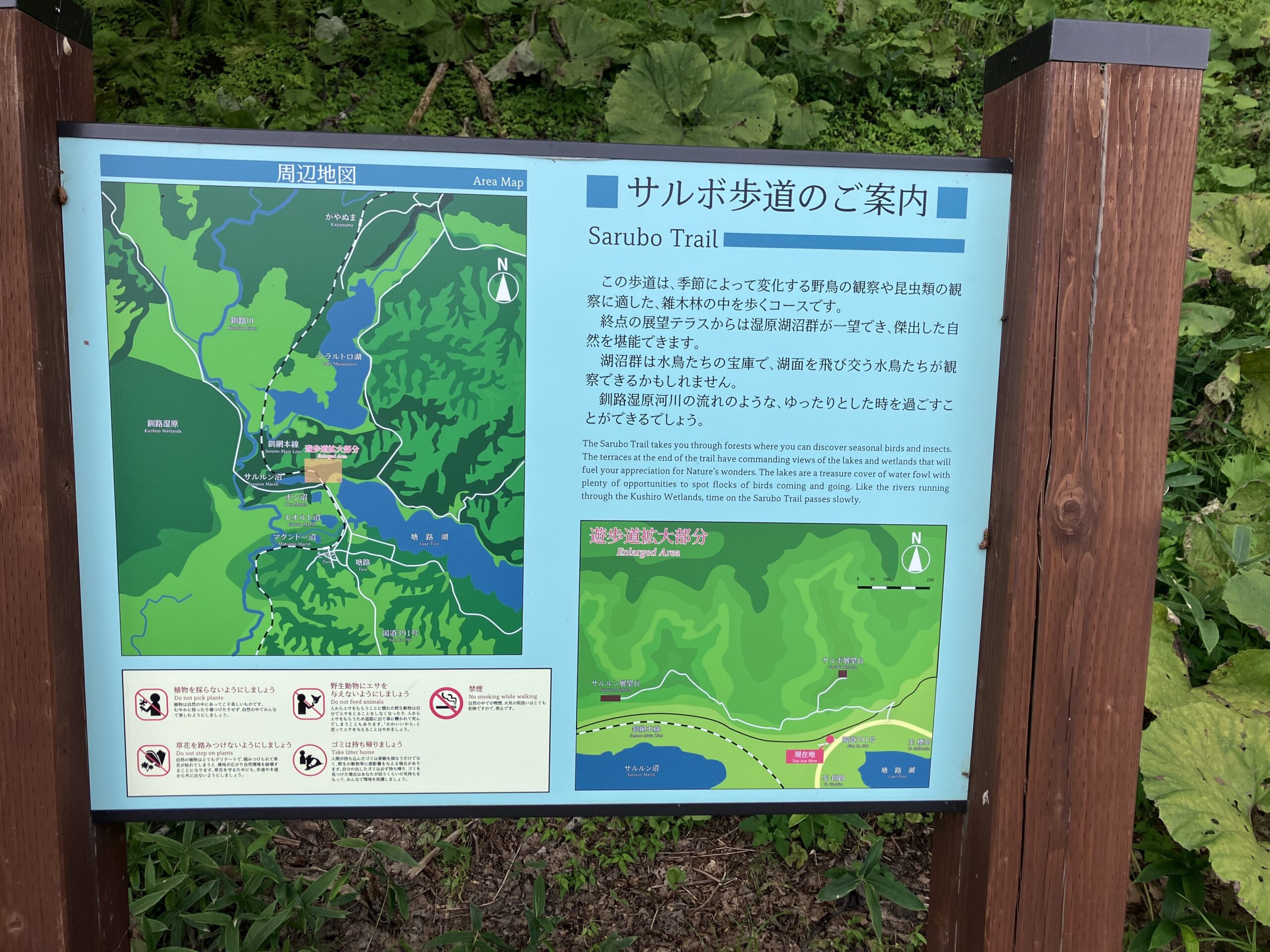 駐車場までは行きました（笑）