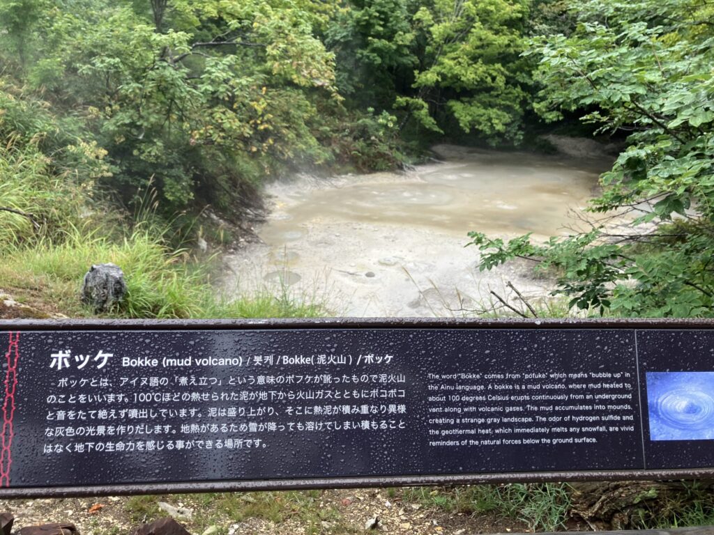 温泉のにおいもすごくしました。面白い場所です。