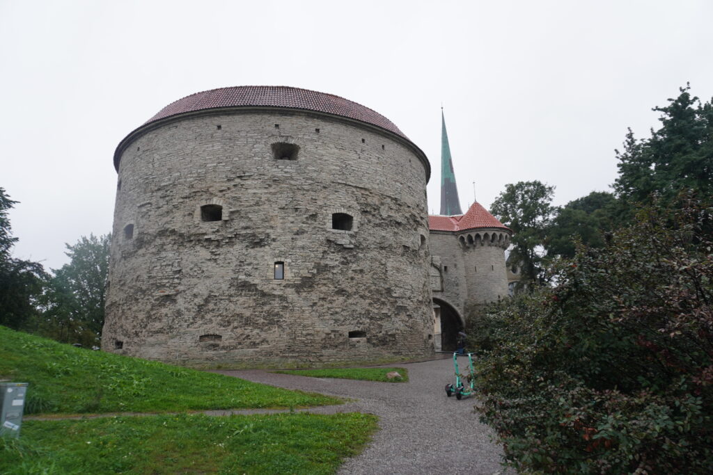 太っちょマルガレータ（海洋博物館）。