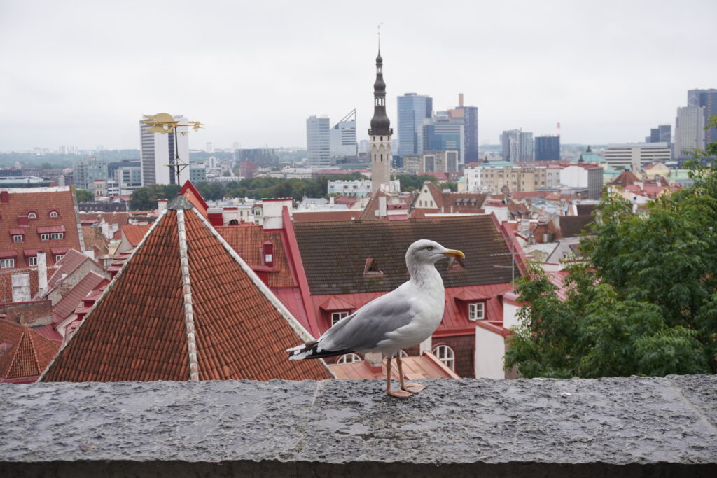10分以上このまま固まってたから置物かと思った（笑）