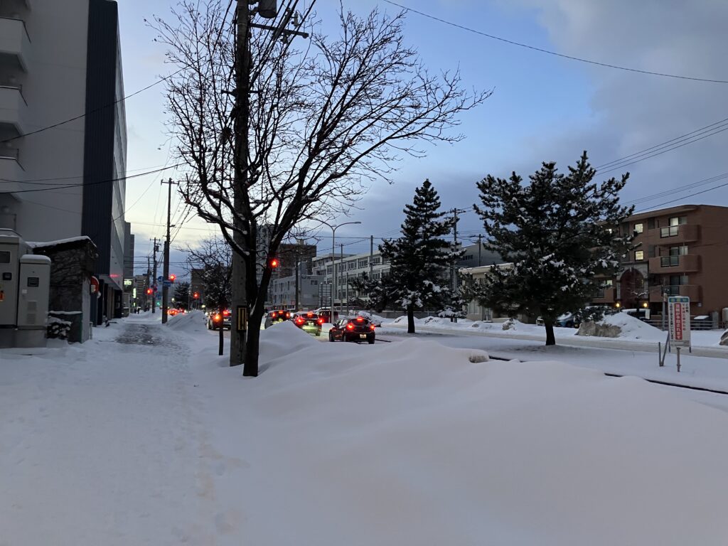 札幌市内の道路。