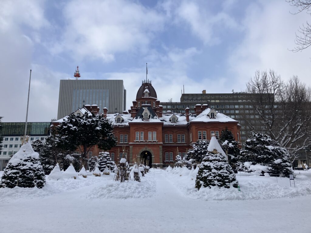 2026年1月撮影📷冬の道庁。