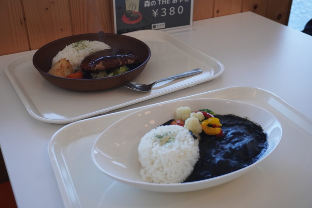 自由昼食。ジオカレーとハンバーグ。おいしかった!