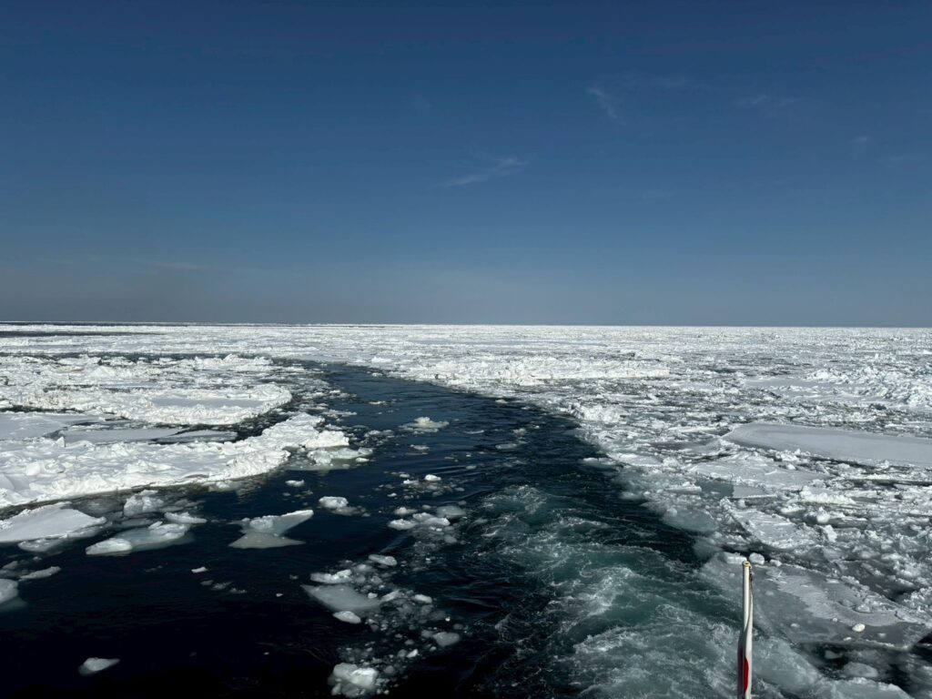 流氷の中を進んでいきます。