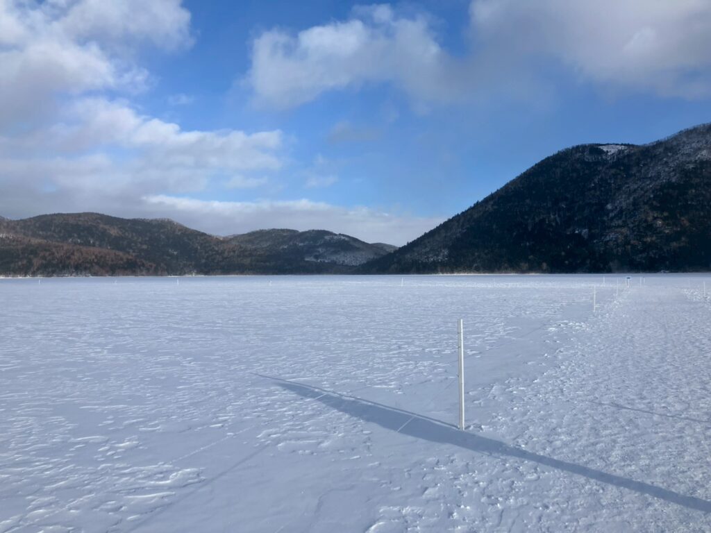 雪景色が綺麗すぎました⛄