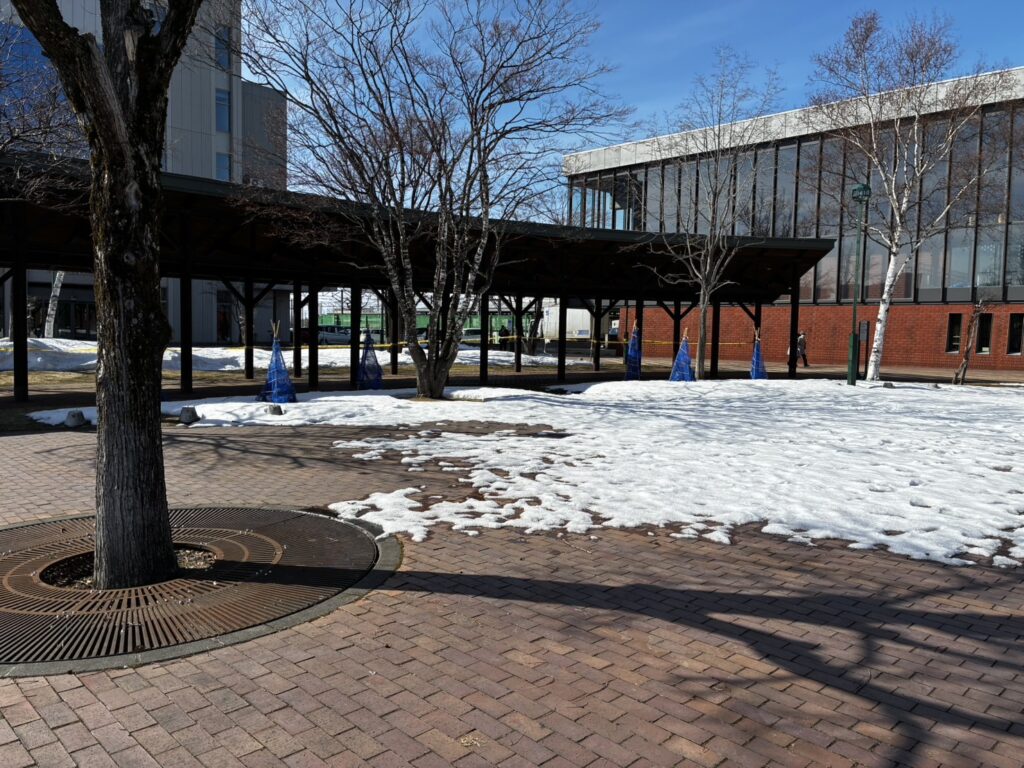 2026/3/3の岩見沢駅前。札幌市内もこんな感じのところも多いです。