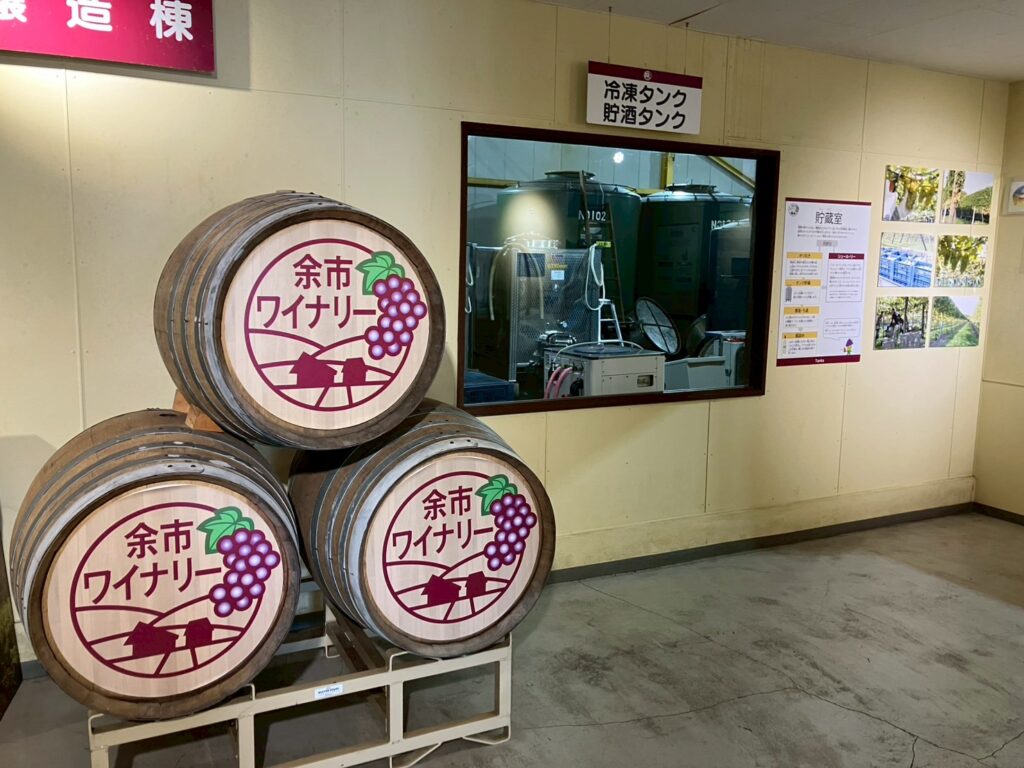 ワイナリー見学。樽がたくさんで面白い!