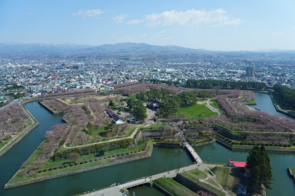桜はもう少しで満開のところでした！この1～2日後頃に満開でした。