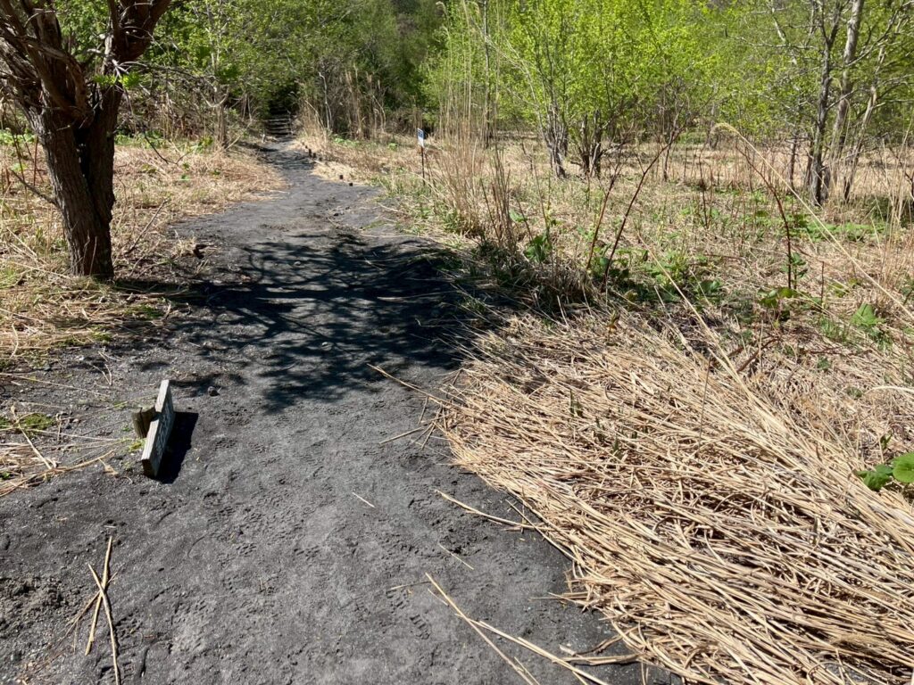 下り終えるとしばらく平坦な道。