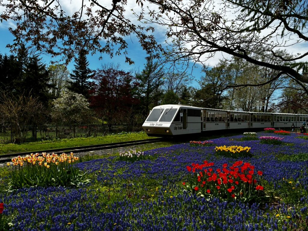 園内列車も多くの家族連れでにぎわっていました！楽しそう！