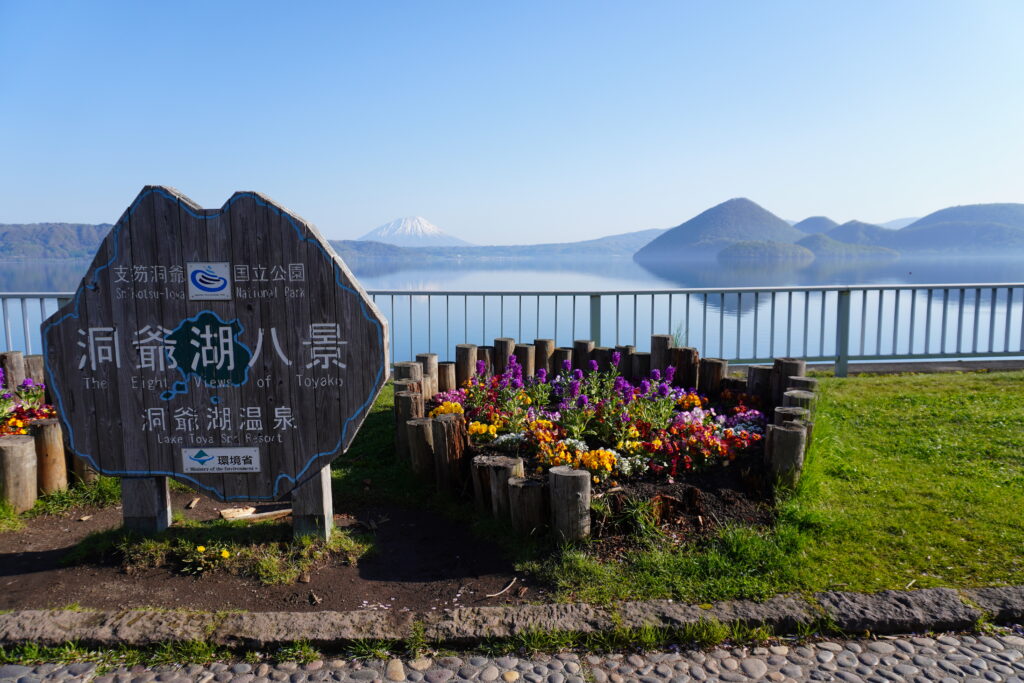 天気が良くて、最高の朝散歩でした✨