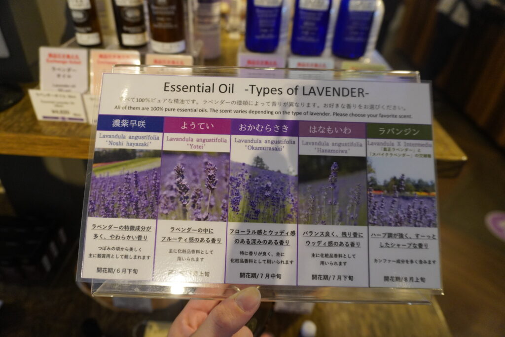 ラベンダーの説明。