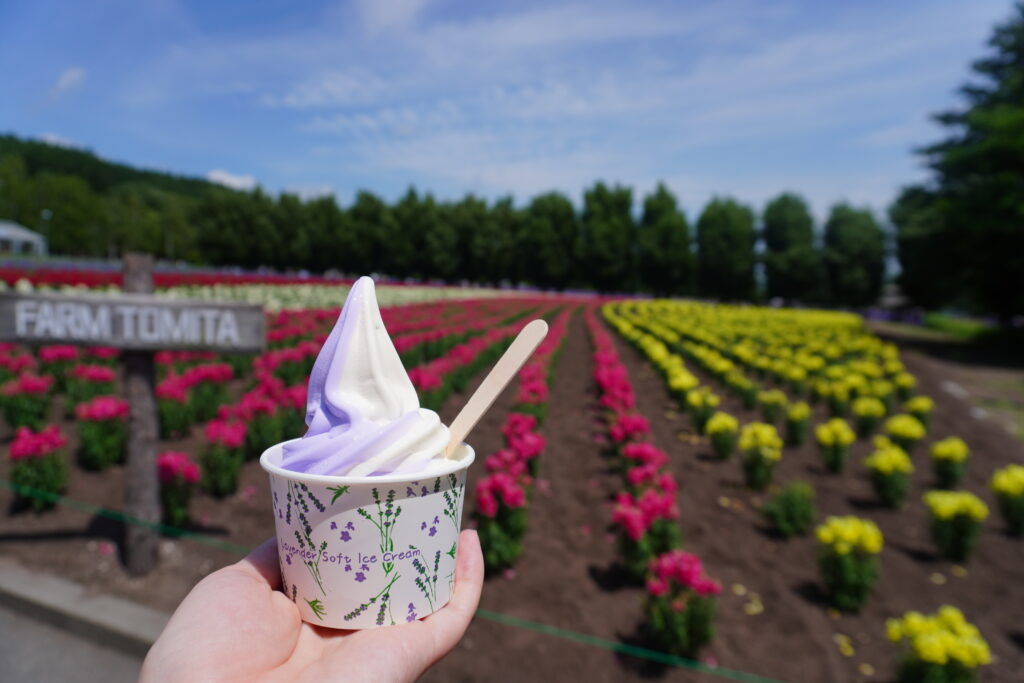 ラベンダーソフトも楽しめます✨