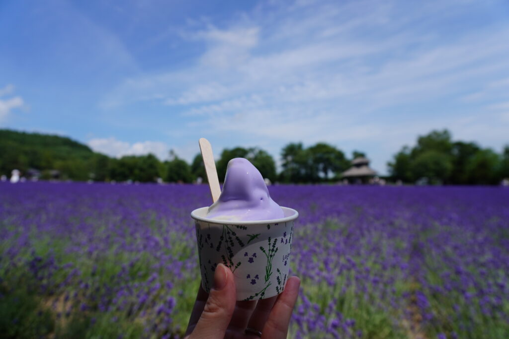 暑さで一瞬で溶けます🍦