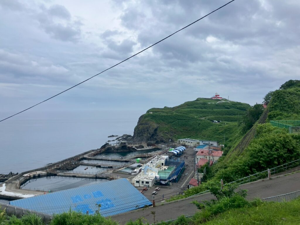 海獣公園はこちらです。