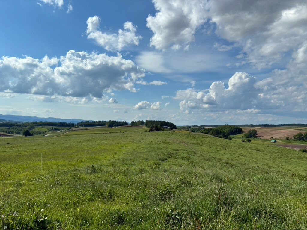 綺麗！美瑛らしい風景でした✨