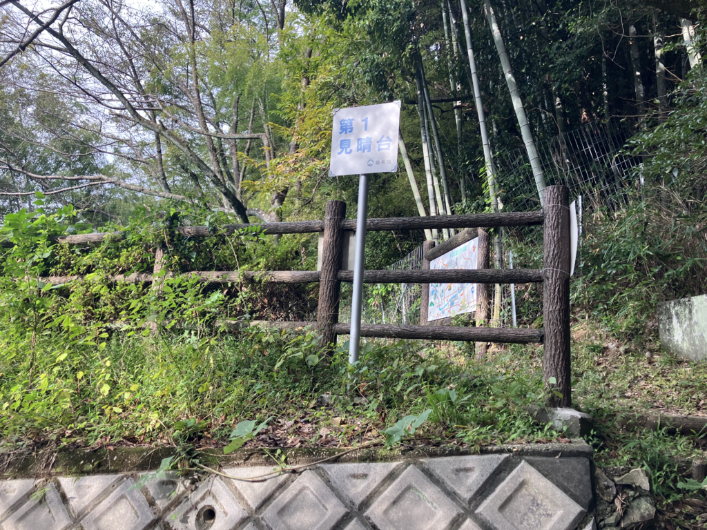 上がってみましたが、木々しか見えません（笑）