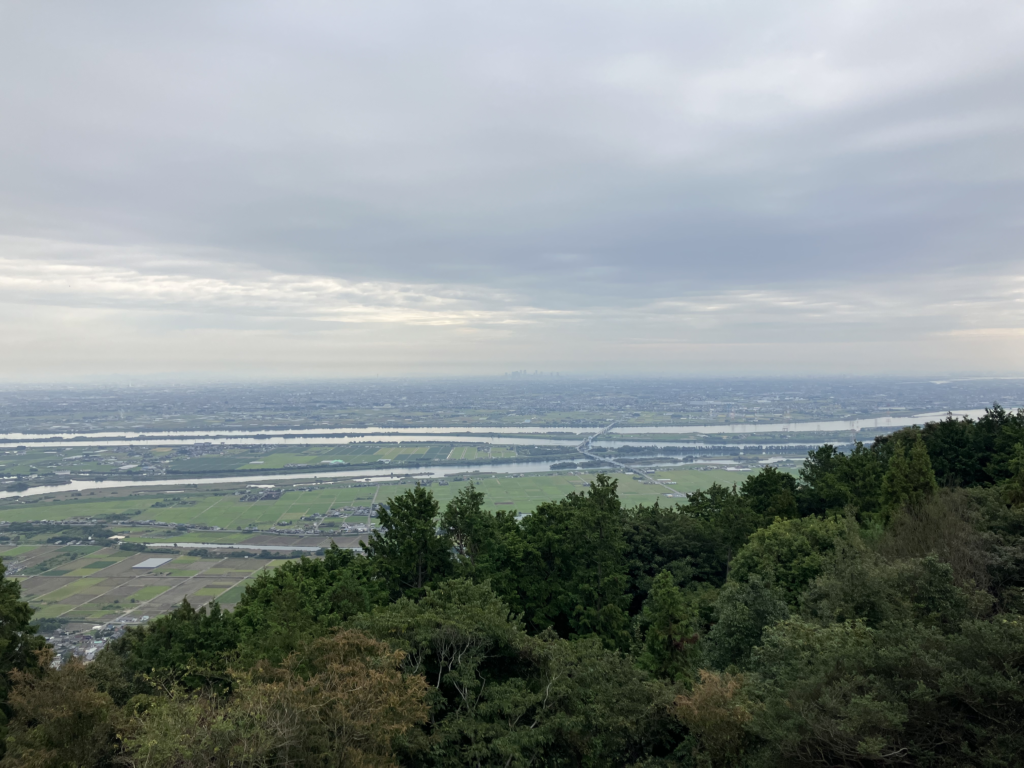 写真だとイマイチなのが残念。
