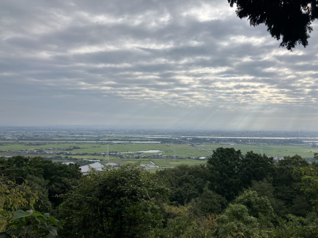 さわやかな朝です。